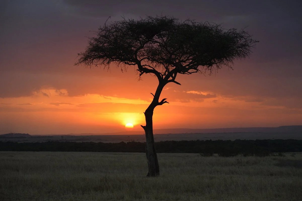 The Untamed Portfolio Limited - Day Tours