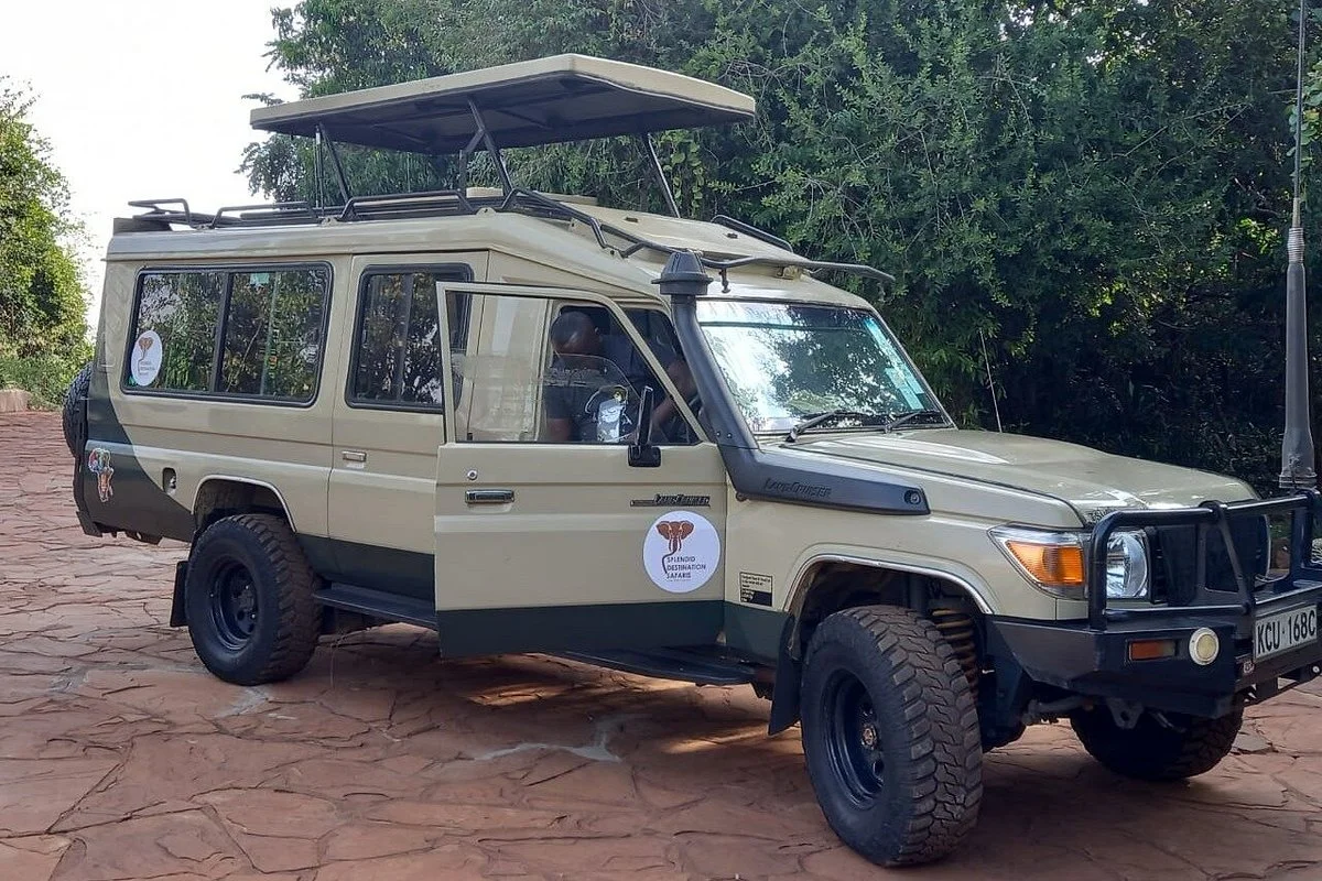 Splendid Destination Safaris