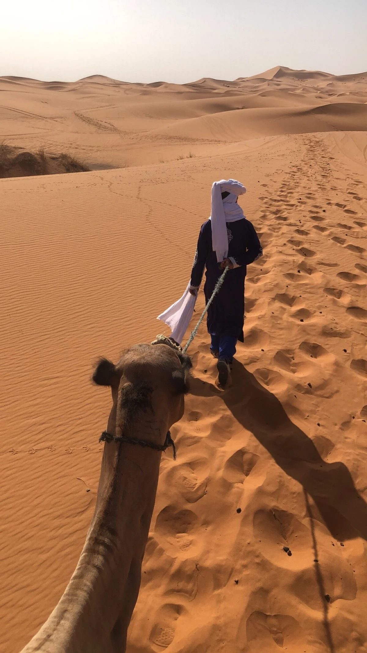Morocco My Tours