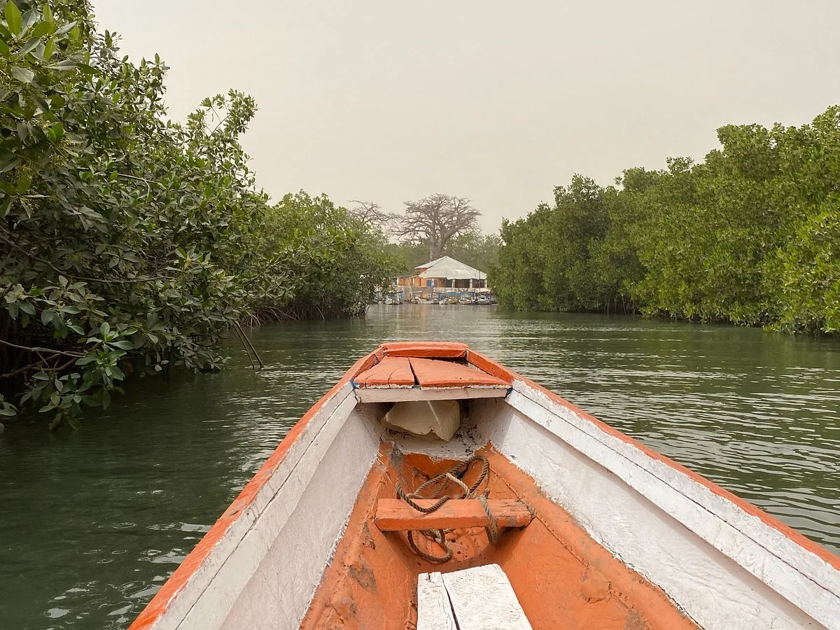 Gambia Safari