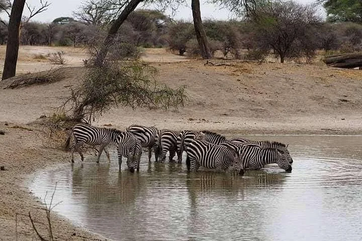 24safaris
