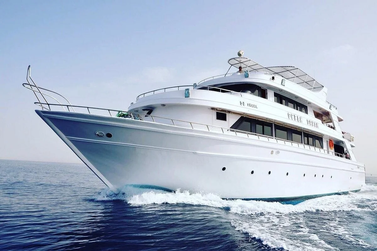 Ocean Dream Fleet
