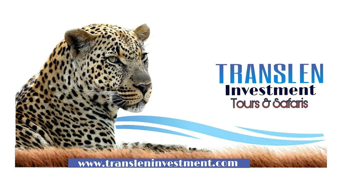 Translen Investment