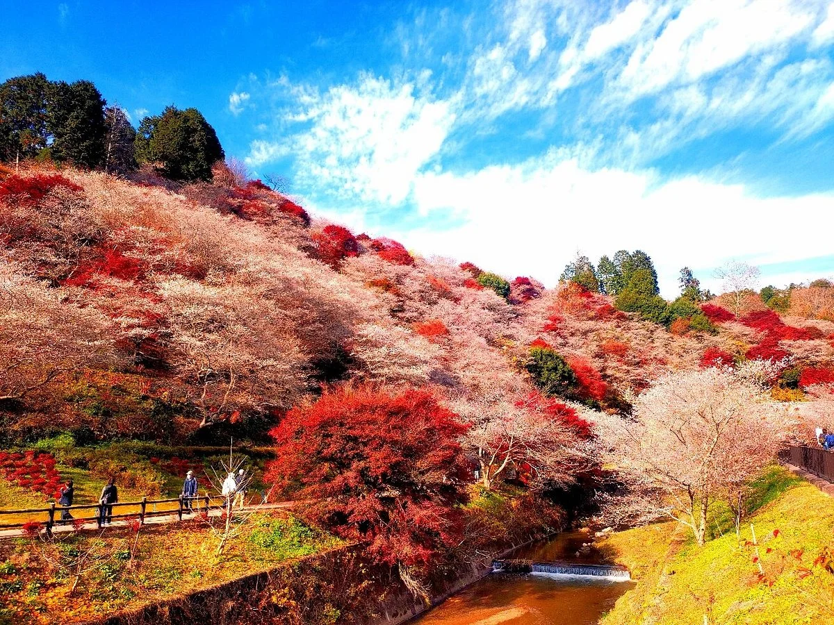 Obara Fureai Park / Shikizakura