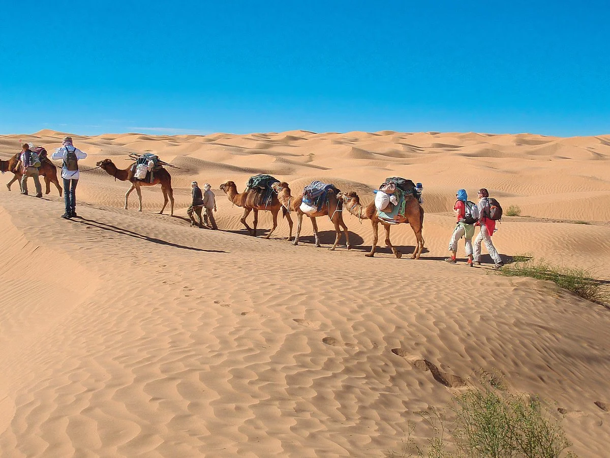 Café Le Petit Prince - Sahara Holidays