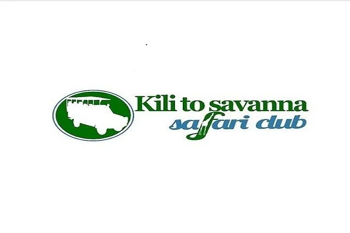 Kili to Savanna Safari Club