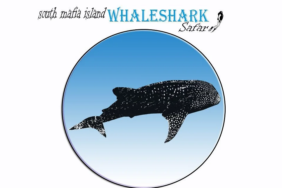 South Mafia Island Whale Shark Safari