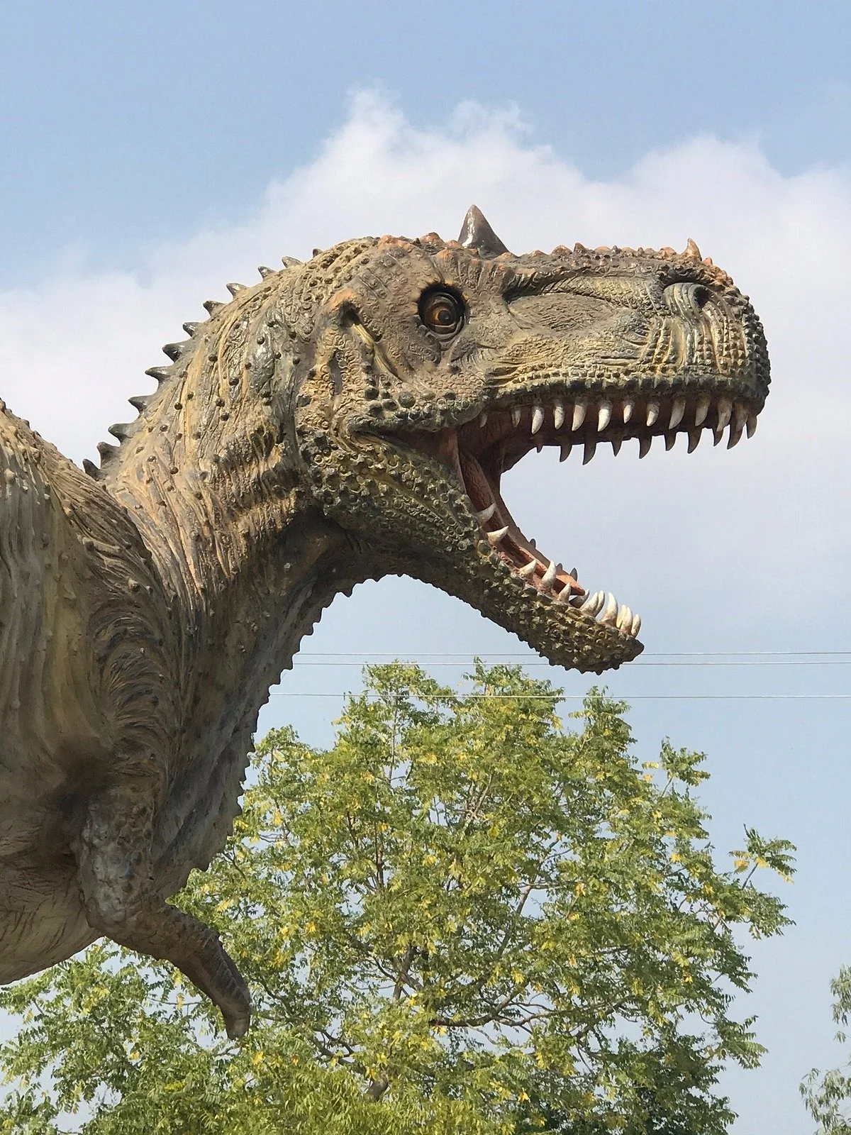 Dinosaur Fossil Park and Museum
