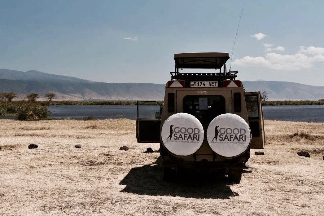 Good Safari