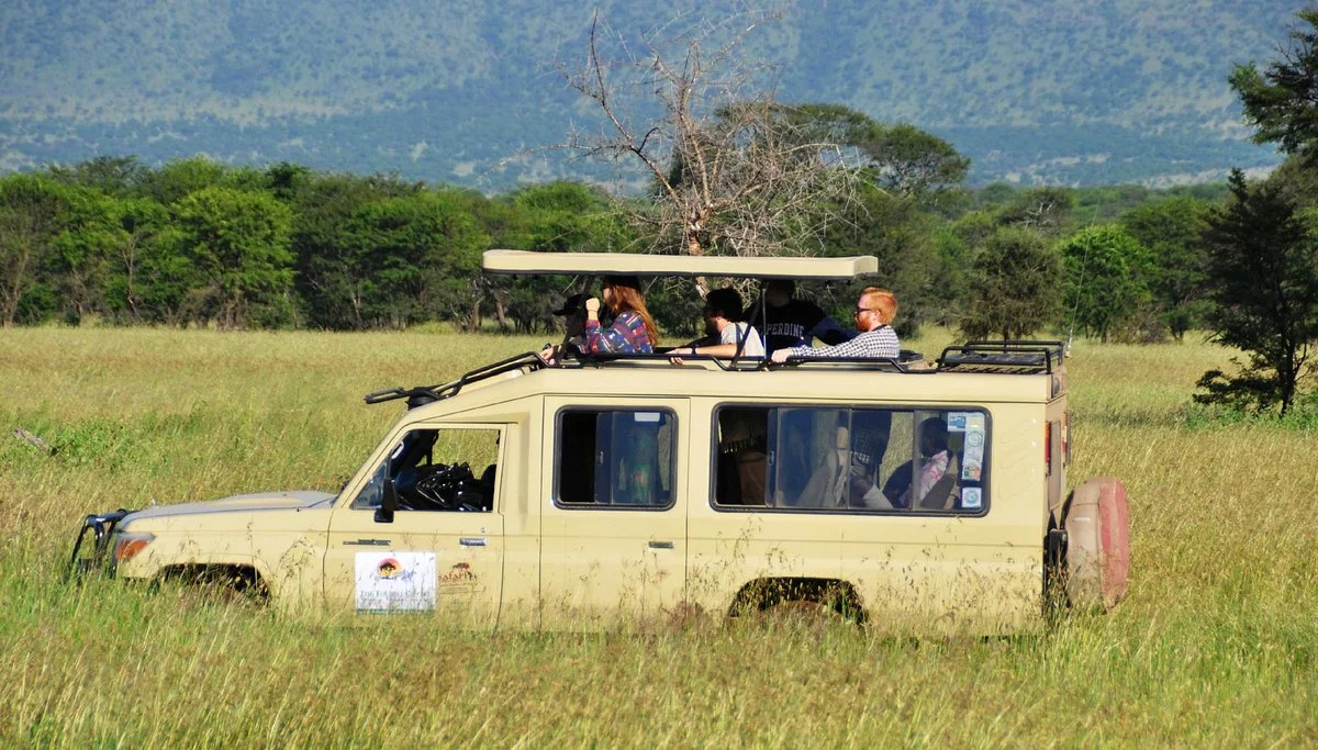 Safari Trackers Adventure