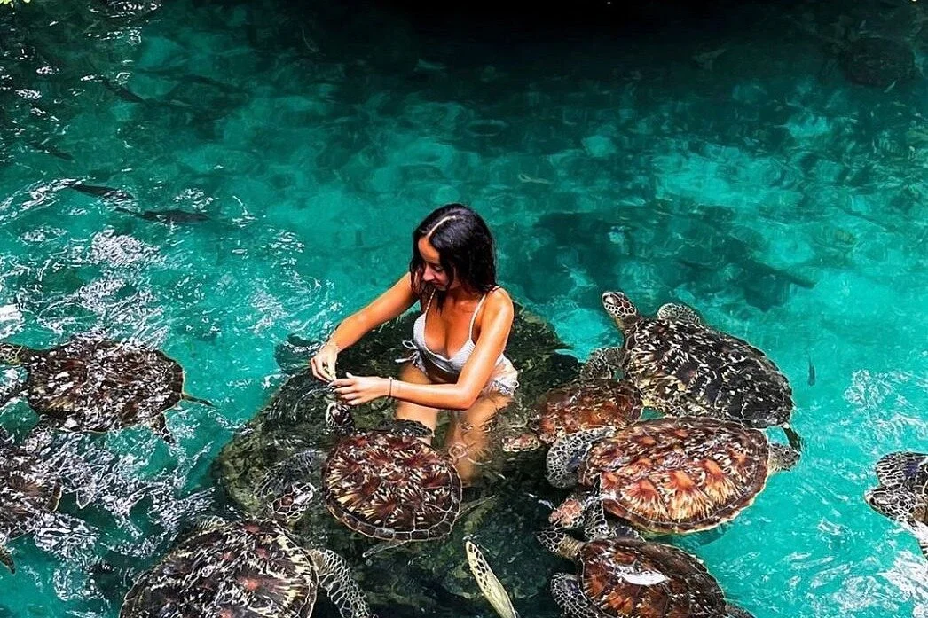 ZANZIBAR PRIVATE TOURS