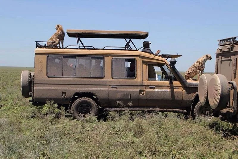 Kilimanjaro Planet Adventure