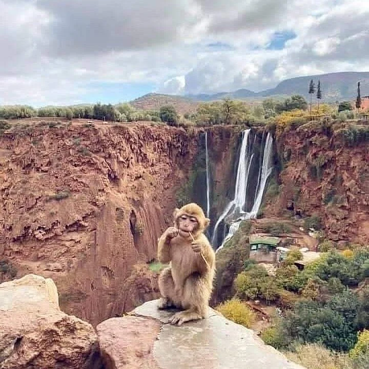 Morocco Atlas Trips