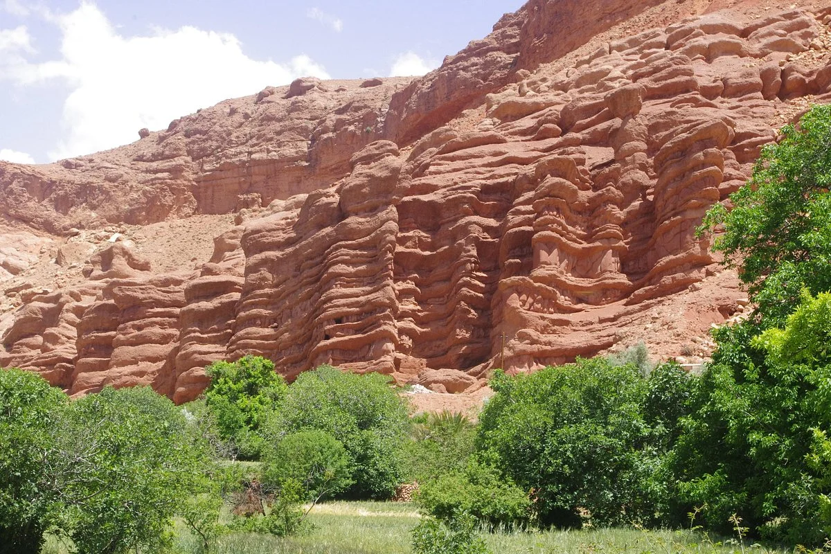 Office guide Dades Morocco