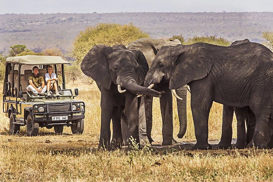 Swahili Paradise Tours & Safaris