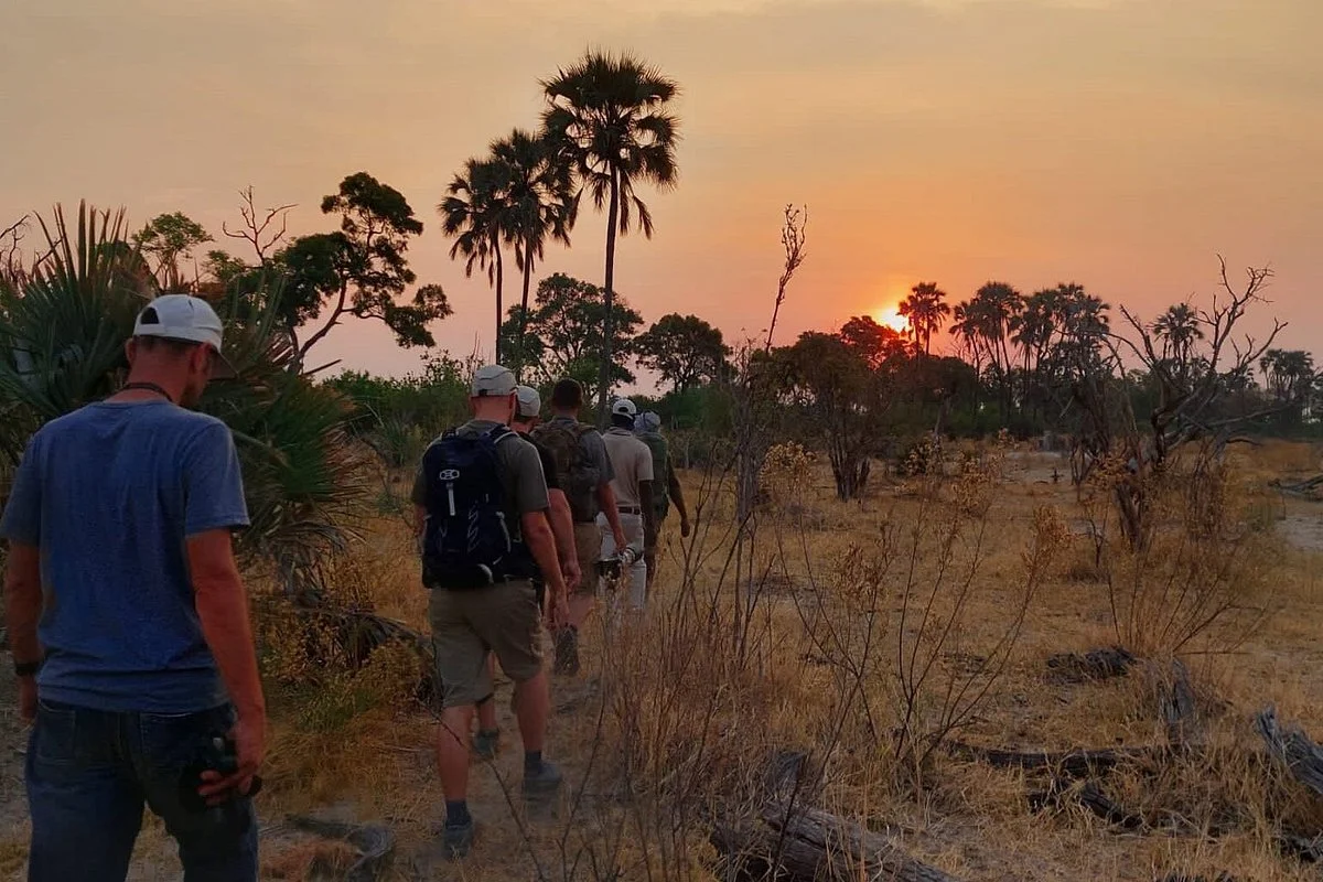 Wild Expeditions Safaris