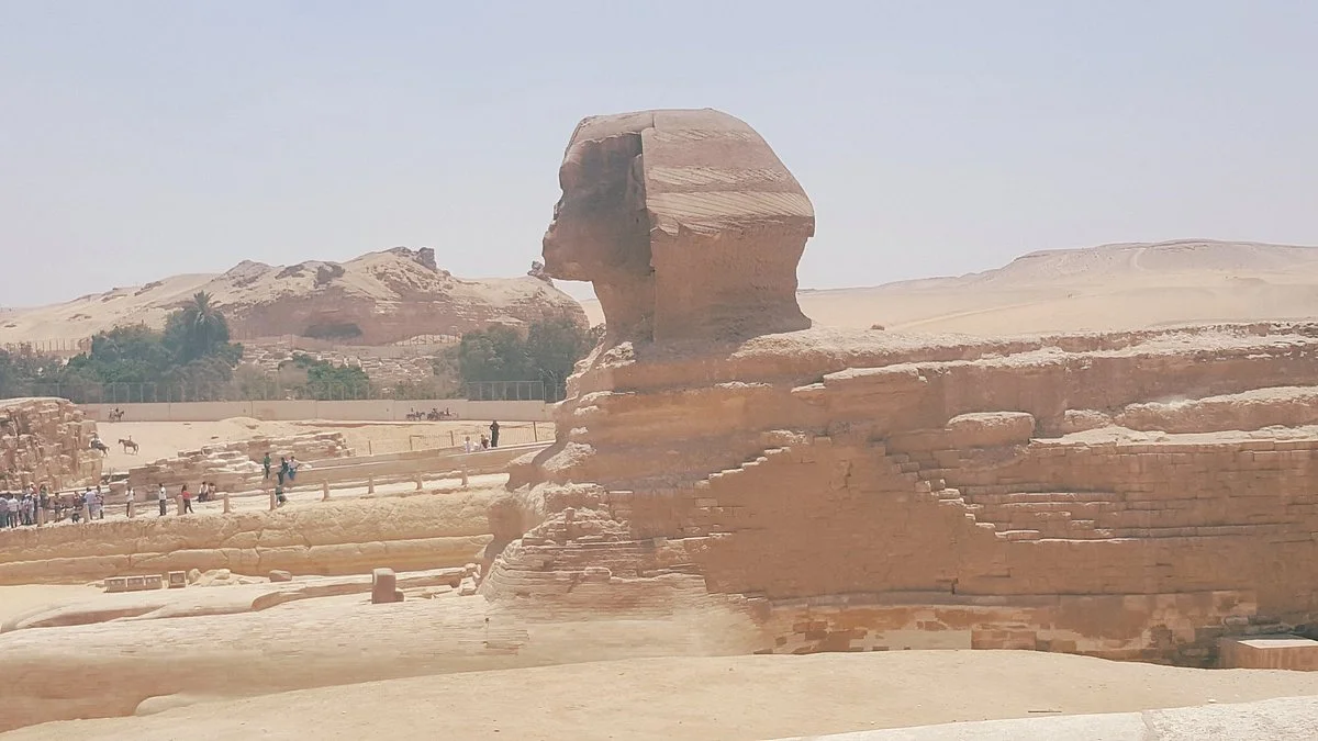 Pyramids Camel Tours - Day Tours