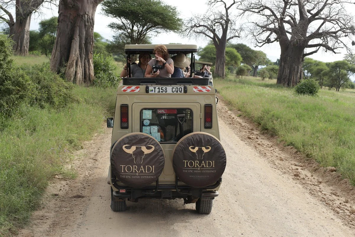 TORADI SAFARIS