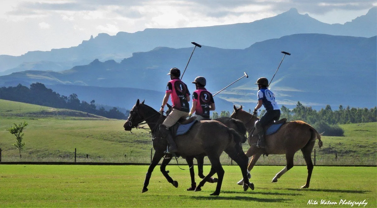 Absolute Polo