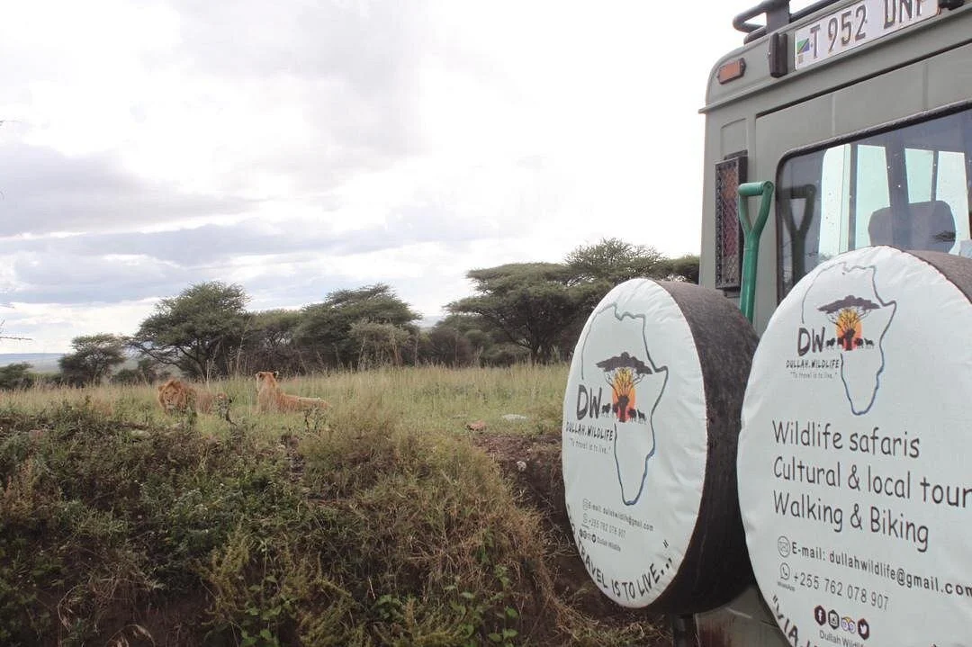 Dullah Wildlife & Cultural Tours