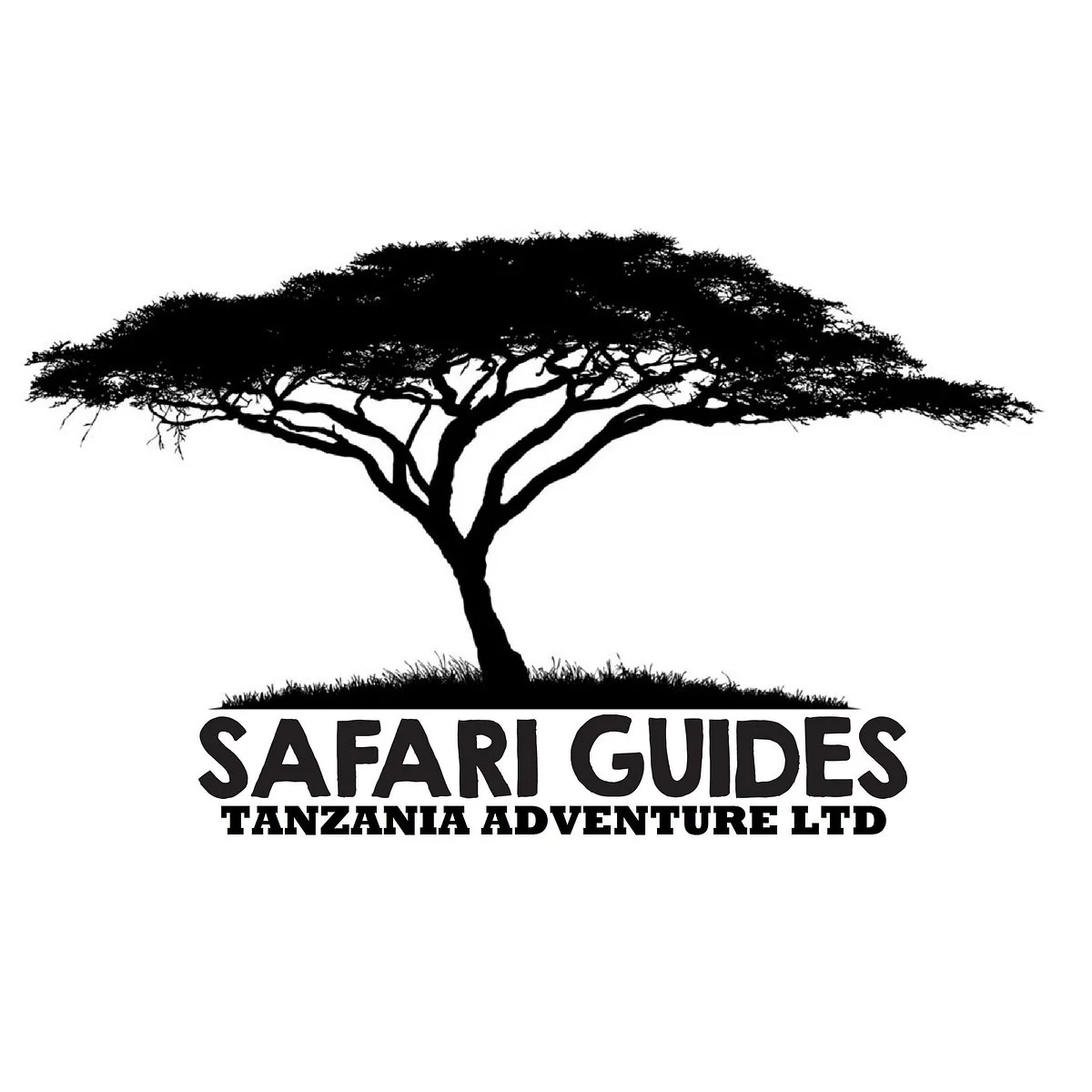 Safari Guides Adventure