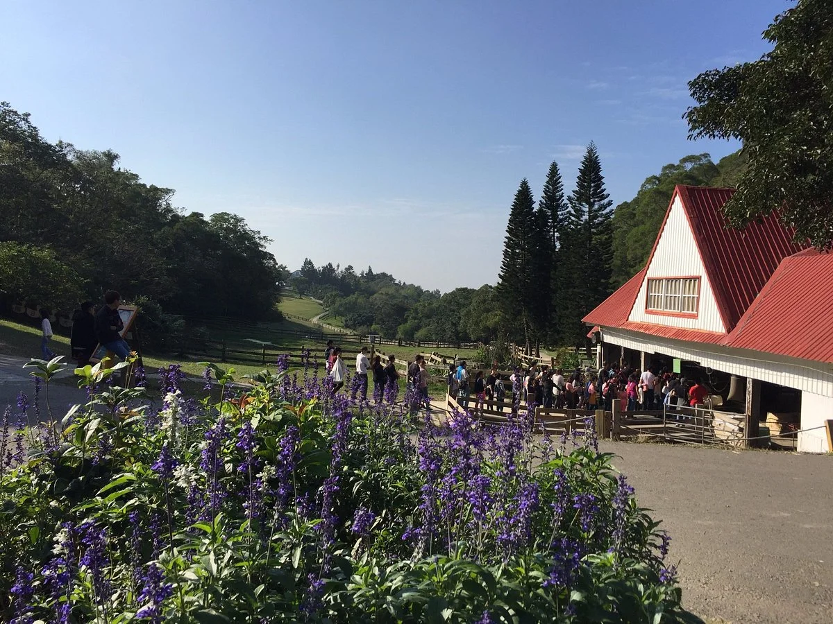 Flying Cow Ranch