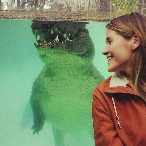 African Crocdive