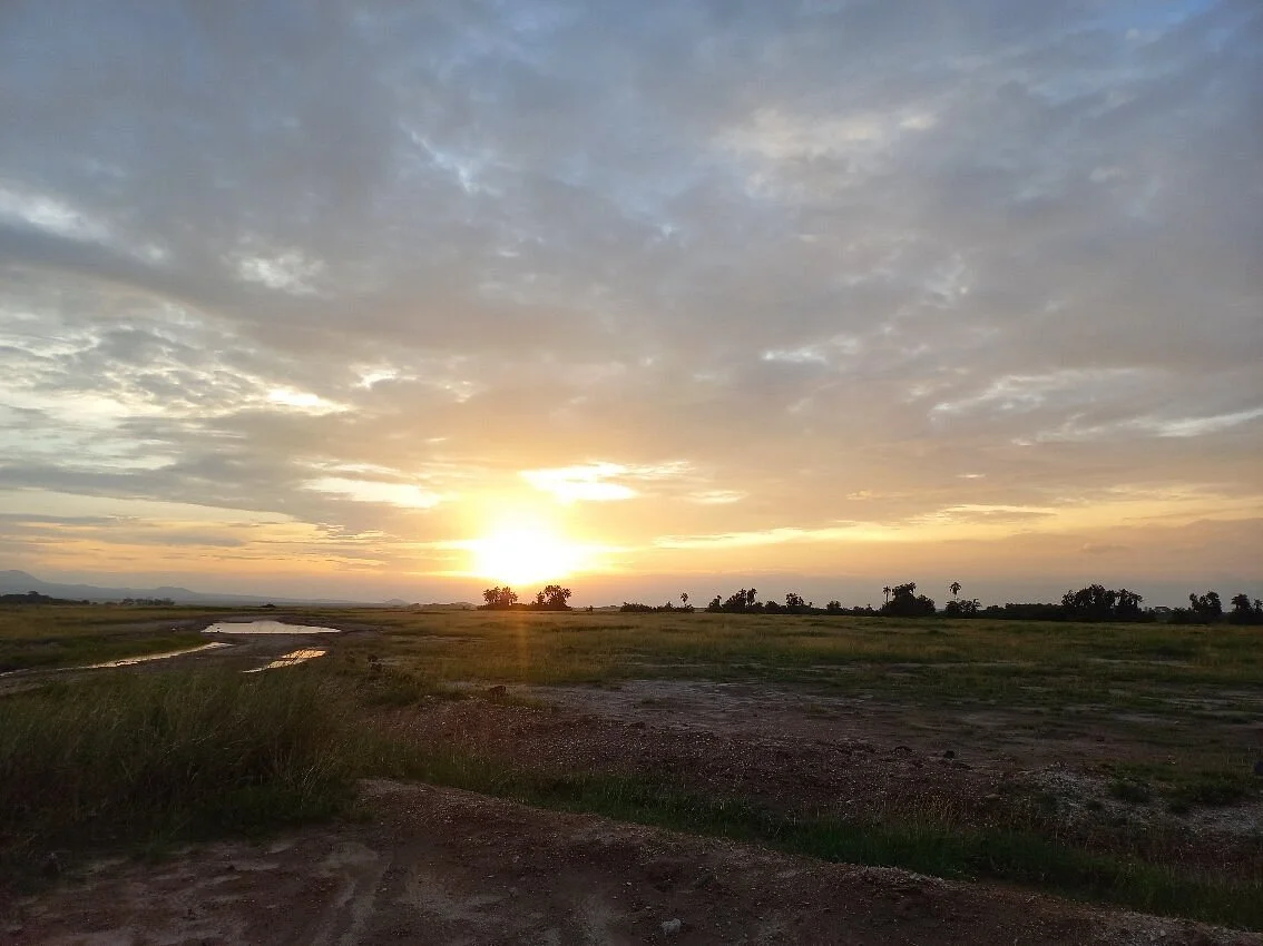 Tabia Tours and Safaris