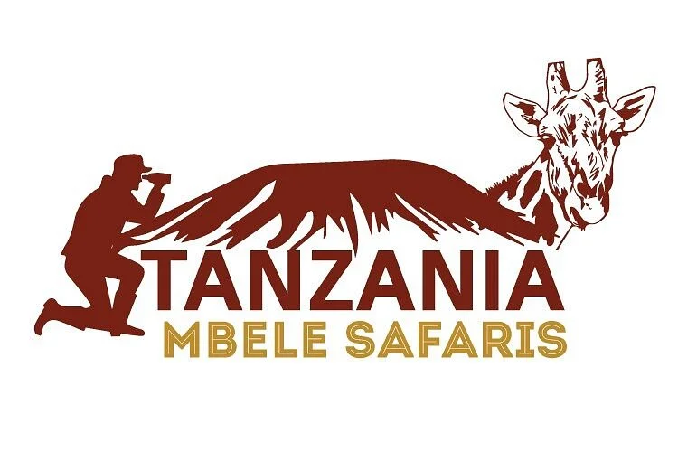 Tanzania Mbele Safaris
