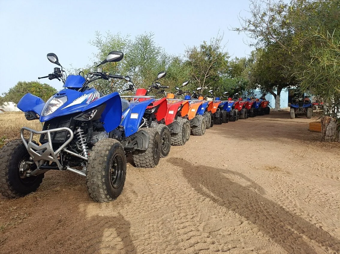 Salma Evasion Quad