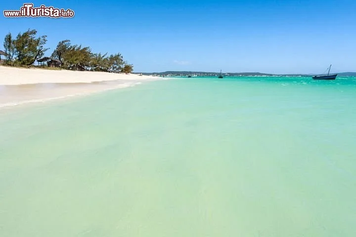 Societe Tropicale Miniere