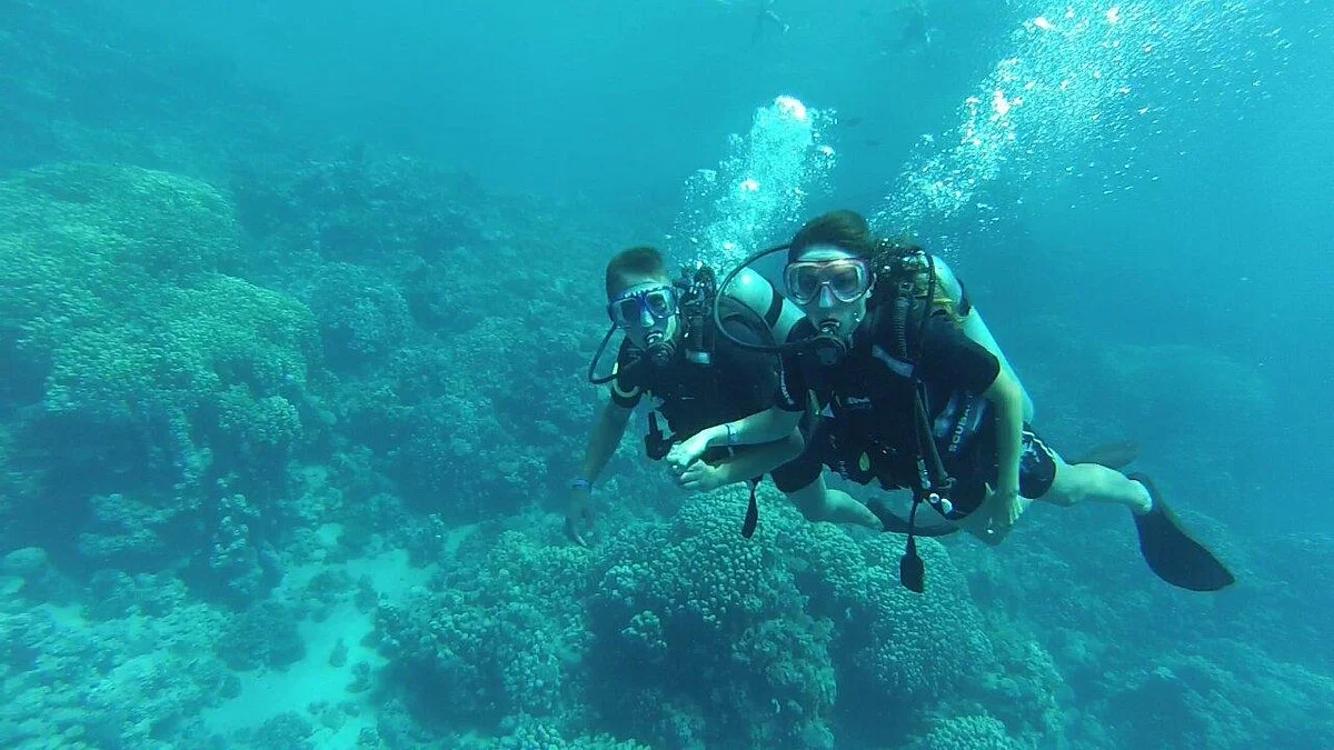 dive1one