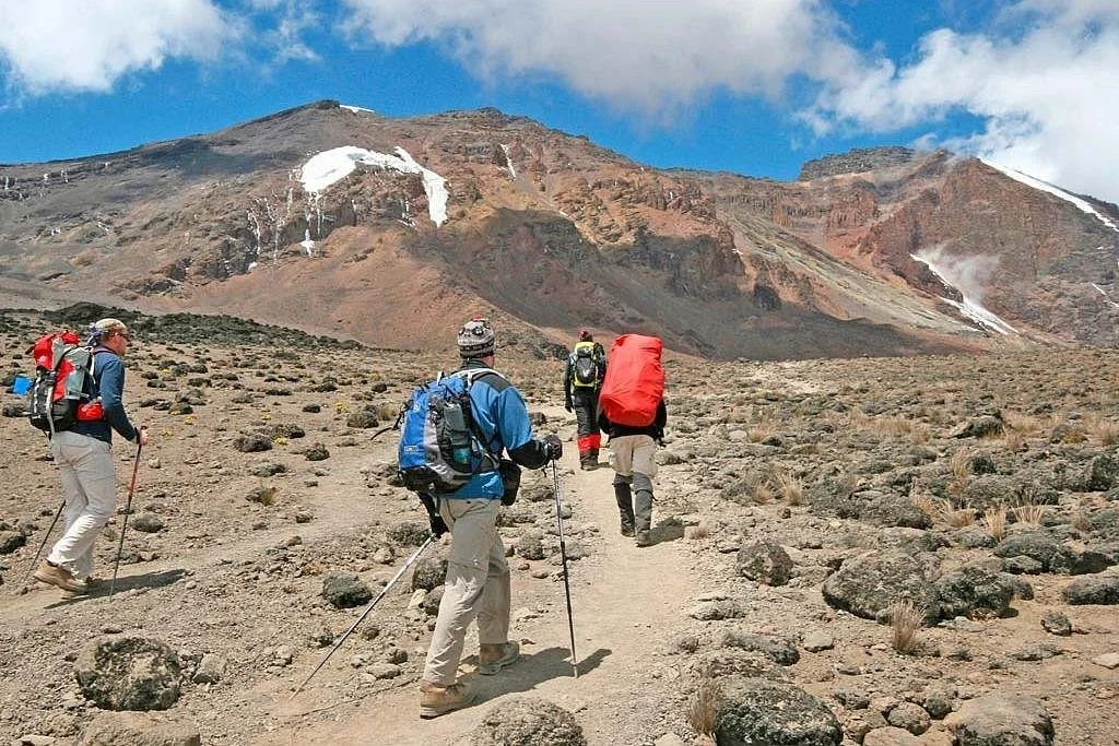 Newland Trekking