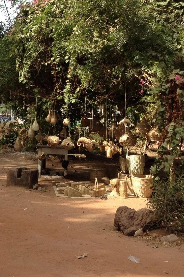 The Gambia Experience Day Tours