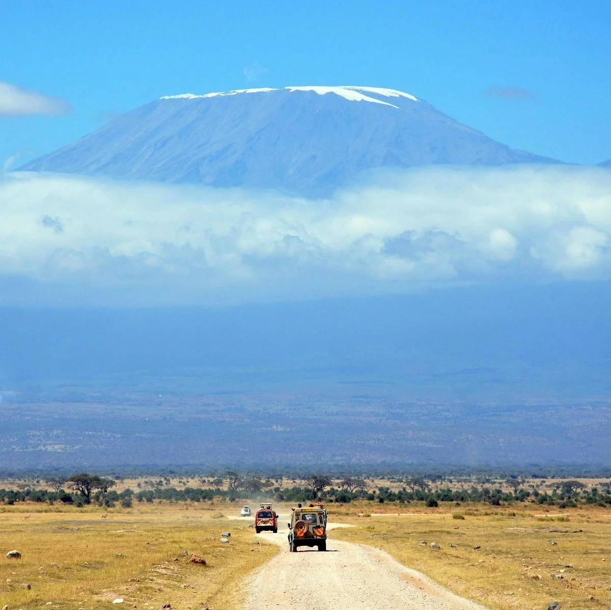 King Kilimanjaro Adventures Ltd.