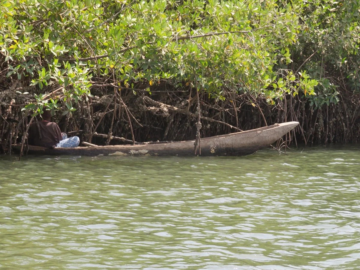 Excursies Gambia