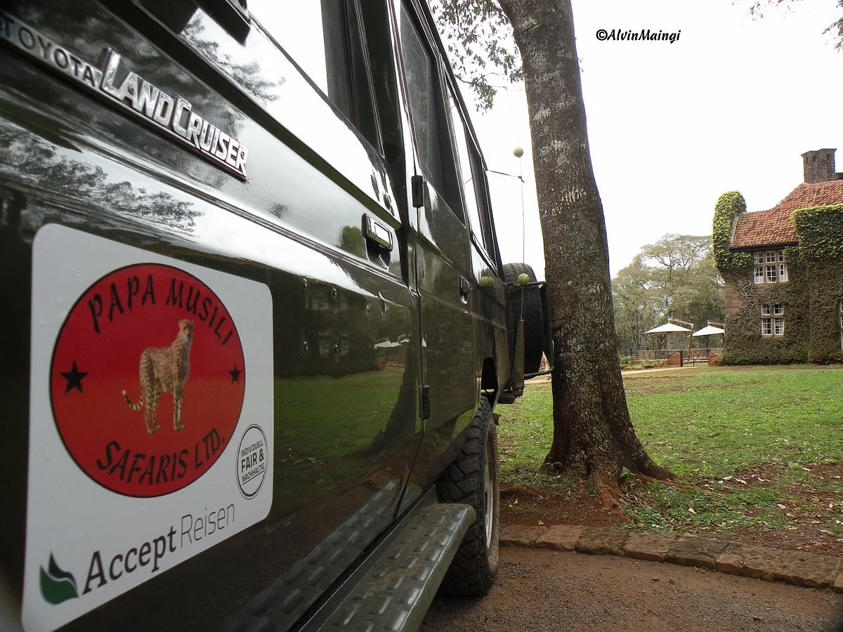 Papa Musili Safaris