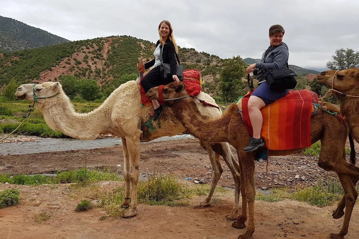 Atlas Mountains Day Trip & Camel Ride