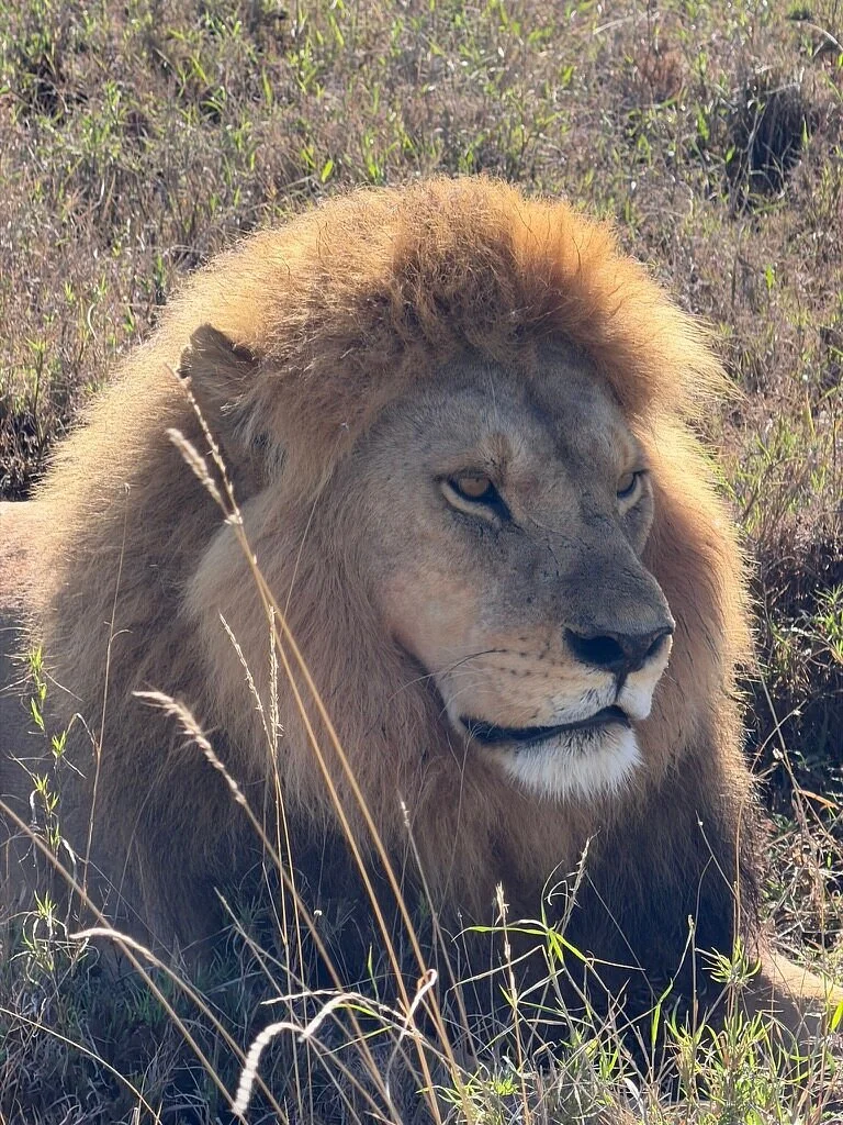 Ngiri Adventures Tours
