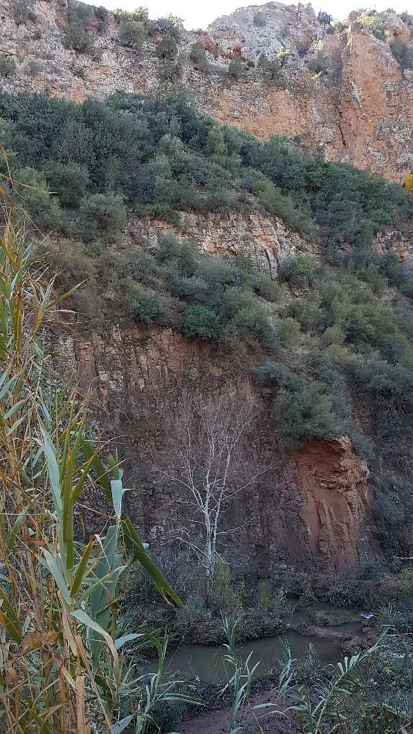 Morocco Tours Excursions