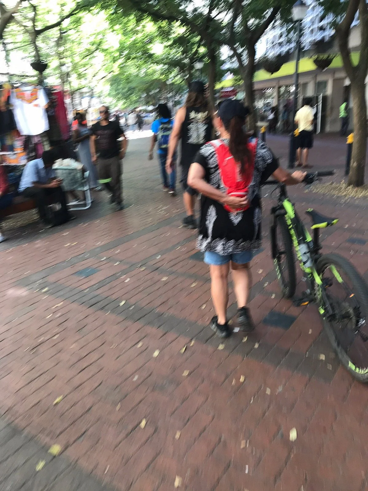 Cape Town City Cycle Tours