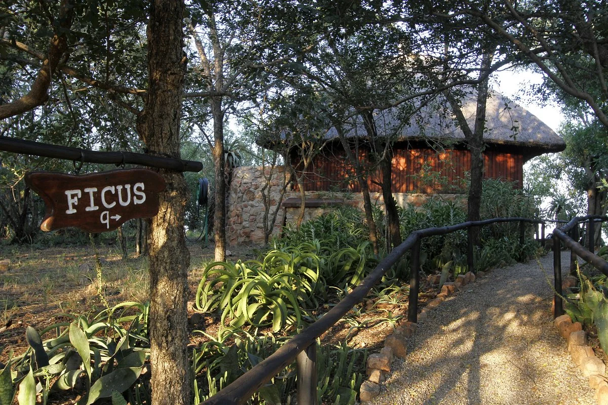 Shayamoya Tiger Fishing and Game Lodge