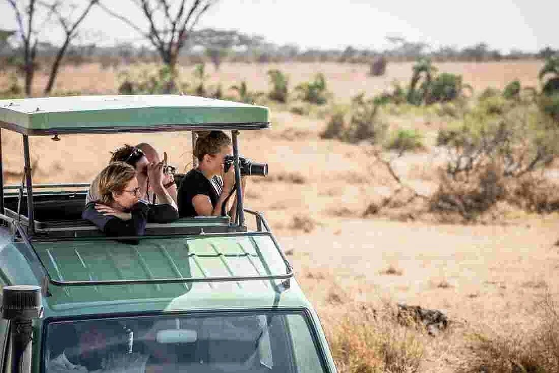 Morwo Safaris