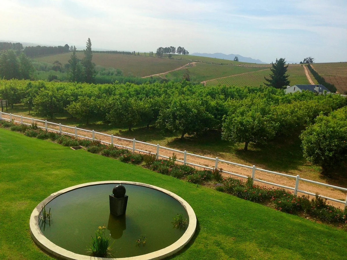Stellenbosch Wine and Gourmet Tours