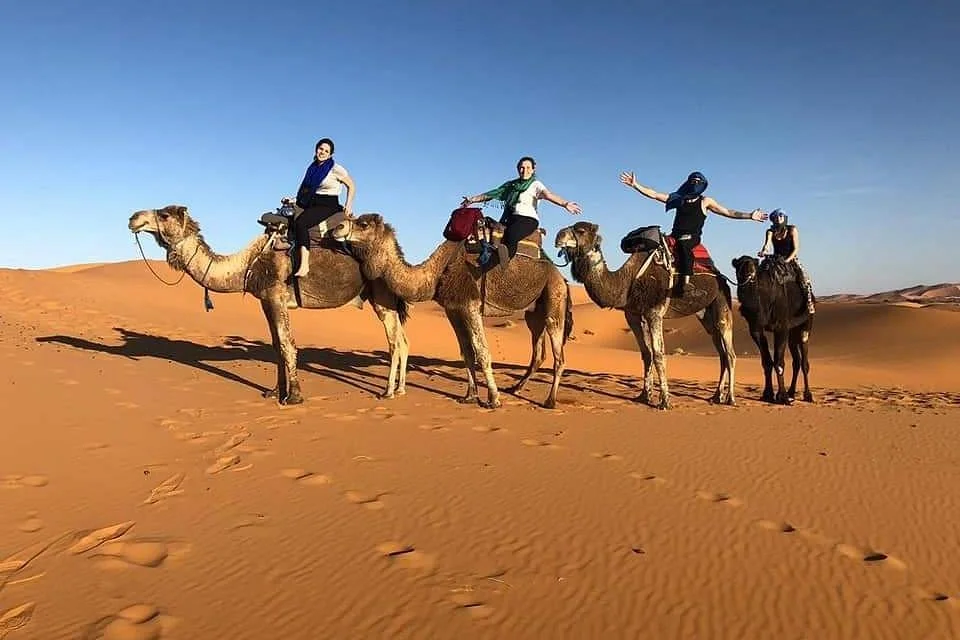 Excursiones por el desierto