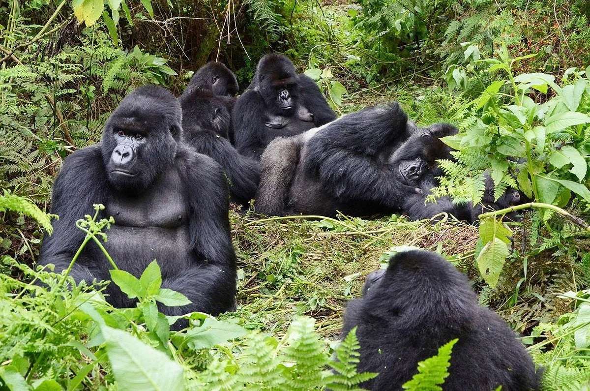 Kwafrika Travel