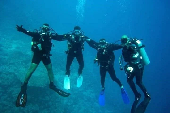 Sea college dive club