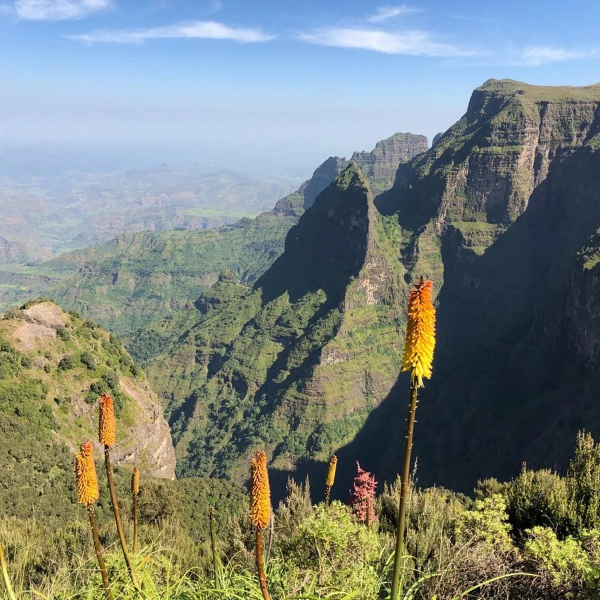 Simien Mountain Guides
