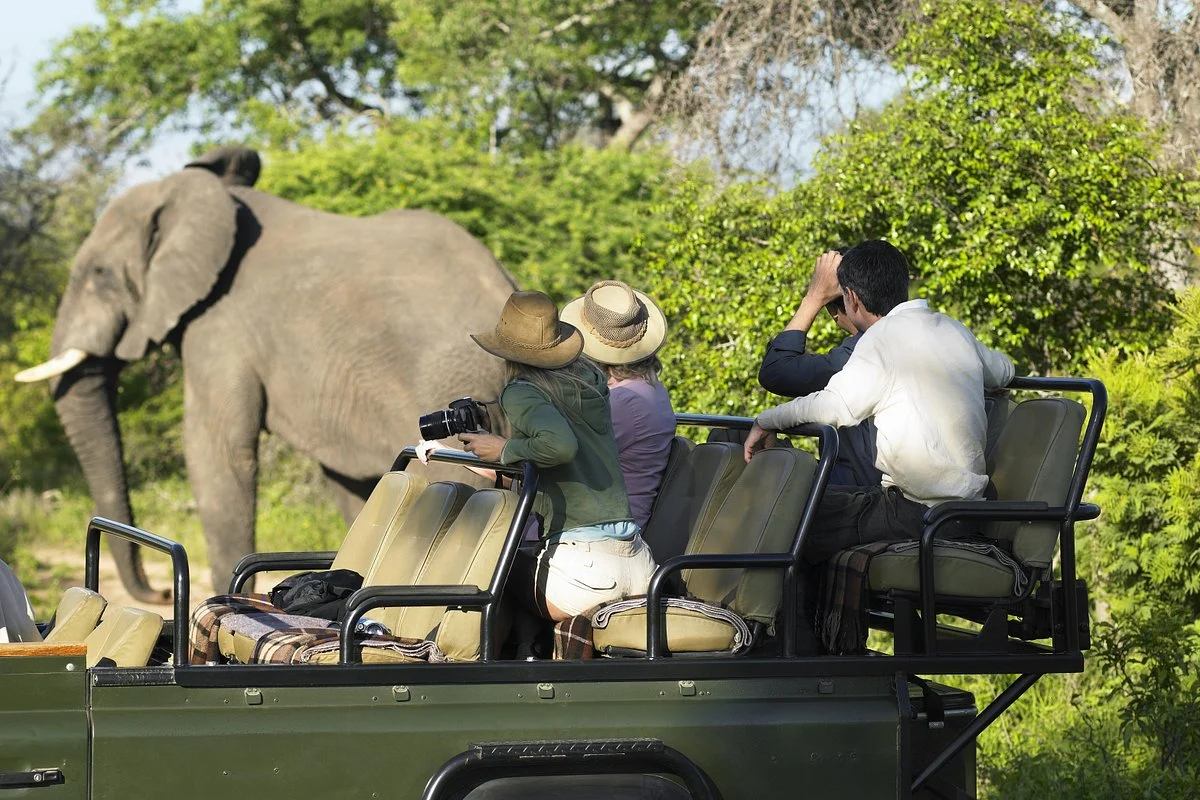 Bundox Safari Co.