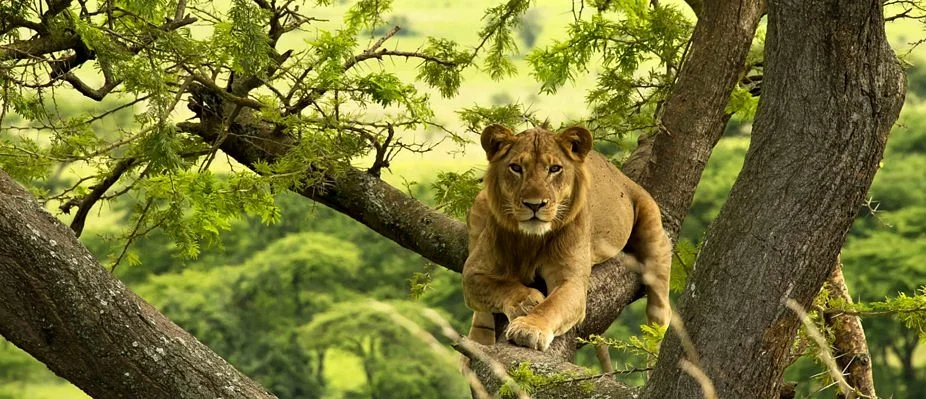 Kenyadventures